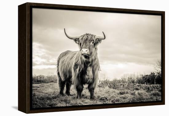 The Highlands-Mark Gemmell-Framed Premier Image Canvas