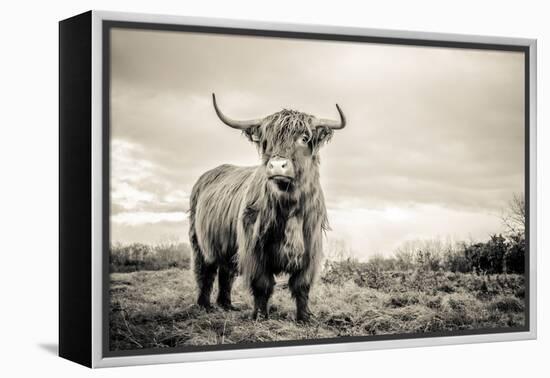 The Highlands-Mark Gemmell-Framed Premier Image Canvas