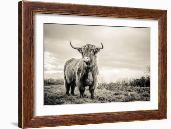 The Highlands-Mark Gemmell-Framed Photographic Print