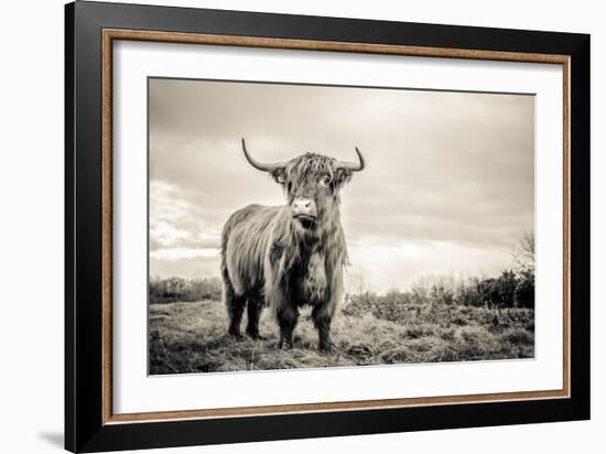 The Highlands-Mark Gemmell-Framed Photographic Print