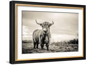 The Highlands-Mark Gemmell-Framed Photographic Print