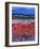 The Highlands-Caroline Duncan-Framed Giclee Print