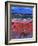 The Highlands-Caroline Duncan-Framed Giclee Print