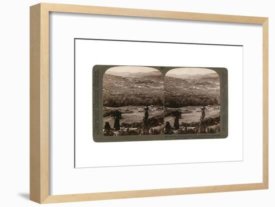 The Hill of Samaria, from the South, Surrounded by its Fig and Olive Groves, Palestine, 1900-Underwood & Underwood-Framed Giclee Print