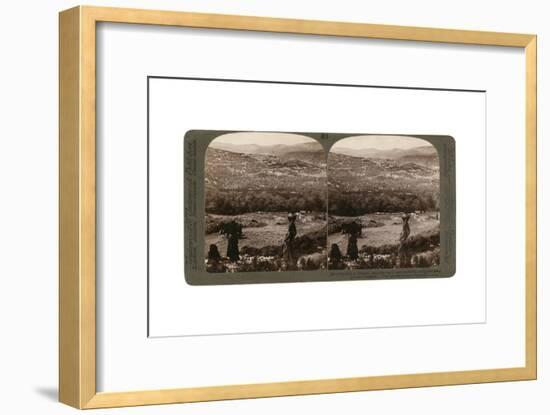 The Hill of Samaria, from the South, Surrounded by its Fig and Olive Groves, Palestine, 1900-Underwood & Underwood-Framed Giclee Print