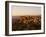 The Hill Top Village of Saignon at Sunset, Provence, France, Europe-Mark Chivers-Framed Photographic Print