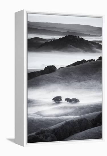 The Hills I Love Black White Mist Fog Petaluma Sonoma California-Vincent James-Framed Premier Image Canvas