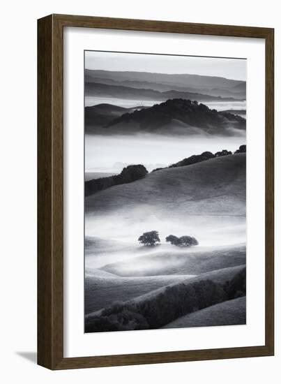 The Hills I Love Black White Mist Fog Petaluma Sonoma California-Vincent James-Framed Photographic Print