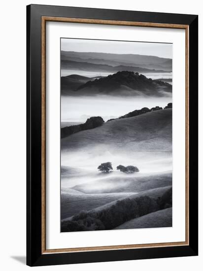 The Hills I Love Black White Mist Fog Petaluma Sonoma California-Vincent James-Framed Photographic Print