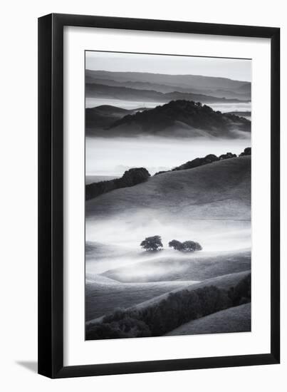 The Hills I Love Black White Mist Fog Petaluma Sonoma California-Vincent James-Framed Photographic Print