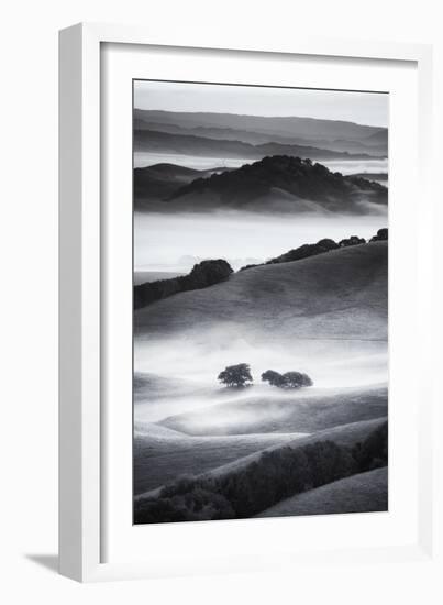 The Hills I Love Black White Mist Fog Petaluma Sonoma California-Vincent James-Framed Photographic Print