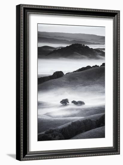 The Hills I Love Black White Mist Fog Petaluma Sonoma California-Vincent James-Framed Photographic Print