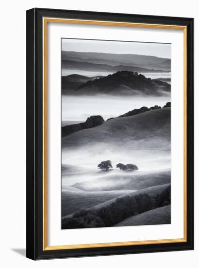 The Hills I Love Black White Mist Fog Petaluma Sonoma California-Vincent James-Framed Photographic Print
