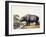 The Hippopotamus, 1804-Samuel Daniell-Framed Giclee Print