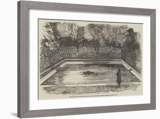 The Hippopotamus in His New Bath in the Zoological Society's Gardens, Regent's Park-null-Framed Giclee Print