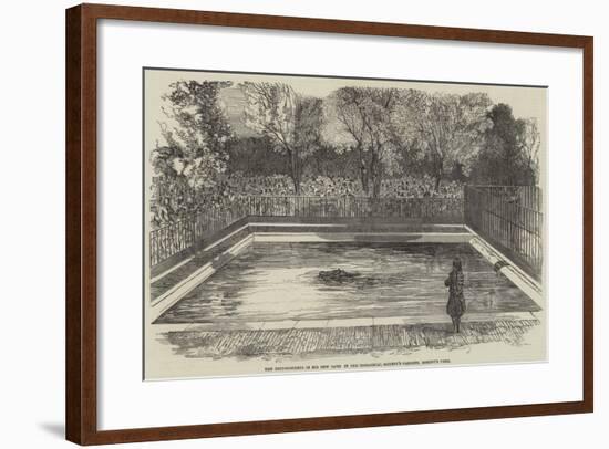 The Hippopotamus in His New Bath in the Zoological Society's Gardens, Regent's Park-null-Framed Giclee Print