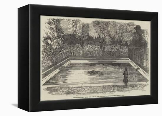 The Hippopotamus in His New Bath in the Zoological Society's Gardens, Regent's Park-null-Framed Premier Image Canvas