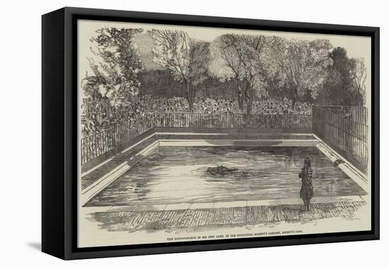 The Hippopotamus in His New Bath in the Zoological Society's Gardens, Regent's Park-null-Framed Premier Image Canvas