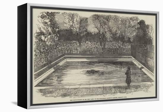 The Hippopotamus in His New Bath in the Zoological Society's Gardens, Regent's Park-null-Framed Premier Image Canvas