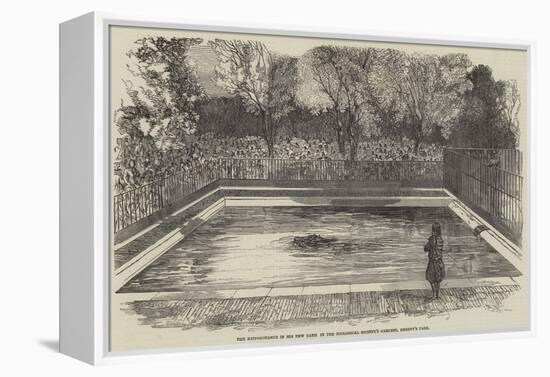 The Hippopotamus in His New Bath in the Zoological Society's Gardens, Regent's Park-null-Framed Premier Image Canvas