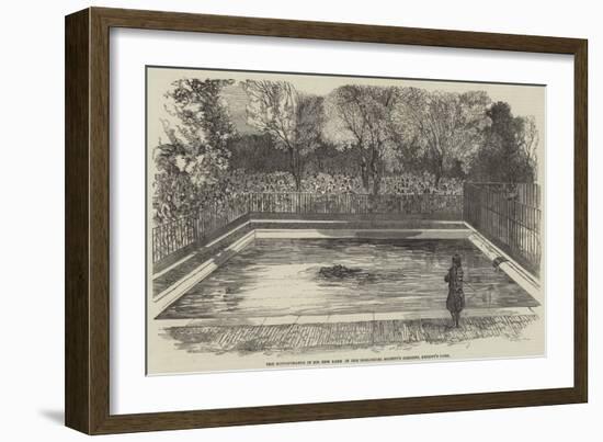 The Hippopotamus in His New Bath in the Zoological Society's Gardens, Regent's Park-null-Framed Giclee Print