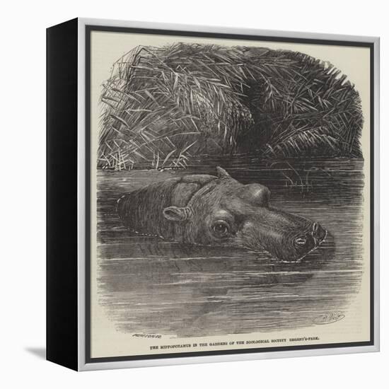 The Hippopotamus in the Gardens of the Zoological Society, Regent'S-Park-Joseph Wolf-Framed Premier Image Canvas