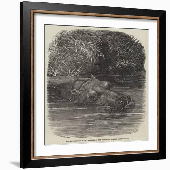 The Hippopotamus in the Gardens of the Zoological Society, Regent'S-Park-Joseph Wolf-Framed Giclee Print