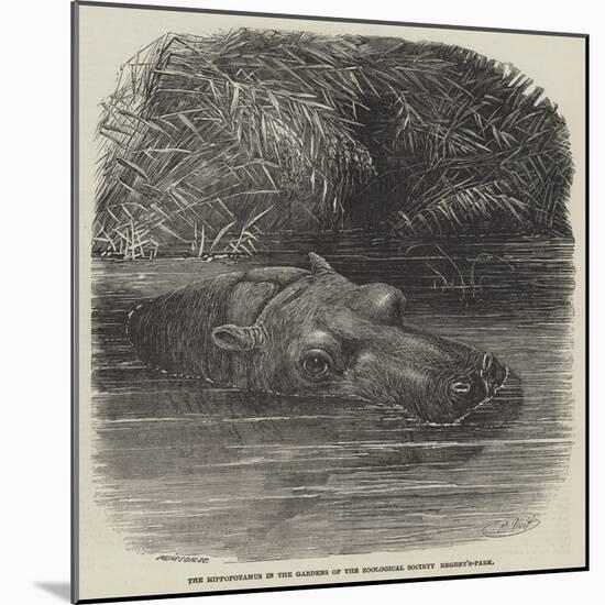 The Hippopotamus in the Gardens of the Zoological Society, Regent'S-Park-Joseph Wolf-Mounted Giclee Print
