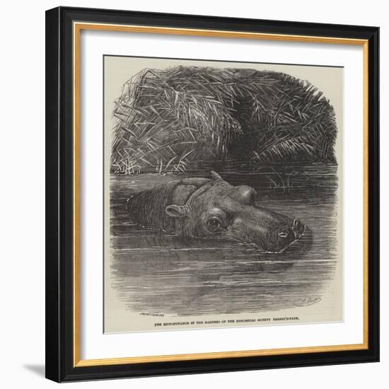 The Hippopotamus in the Gardens of the Zoological Society, Regent'S-Park-Joseph Wolf-Framed Giclee Print