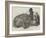 The Hippopotamus, in the Gardens of the Zoological Society, Regent'S-Park-Harrison William Weir-Framed Giclee Print