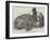 The Hippopotamus, in the Gardens of the Zoological Society, Regent'S-Park-Harrison William Weir-Framed Giclee Print