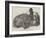 The Hippopotamus, in the Gardens of the Zoological Society, Regent'S-Park-Harrison William Weir-Framed Giclee Print