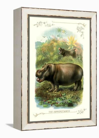 The Hippopotamus-null-Framed Stretched Canvas