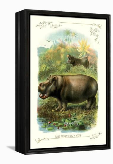 The Hippopotamus-null-Framed Stretched Canvas