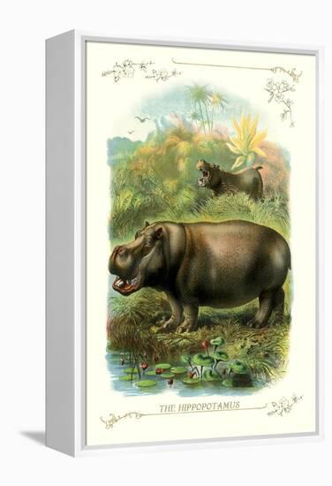 The Hippopotamus-null-Framed Stretched Canvas