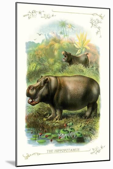 The Hippopotamus-null-Mounted Art Print
