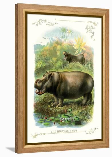 The Hippopotamus-null-Framed Stretched Canvas