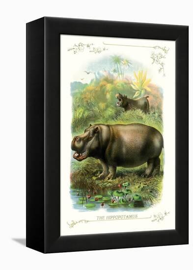 The Hippopotamus-null-Framed Stretched Canvas