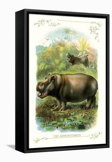 The Hippopotamus-null-Framed Stretched Canvas