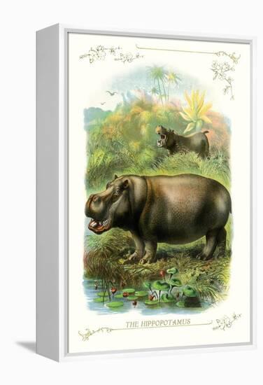 The Hippopotamus-null-Framed Stretched Canvas