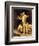 The Hit-Frederick Leighton-Framed Giclee Print