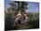 The Holy Family in a Landscape, 17th century-Nicolas Poussin-Mounted Giclee Print