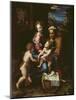 The Holy Family (La Perla) circa 1518-Raphael-Mounted Giclee Print