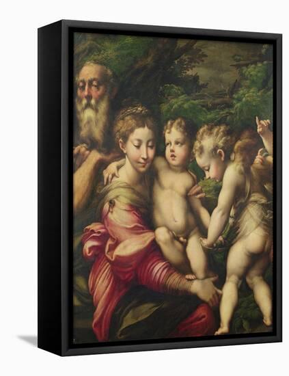 The Holy Family (Rest on the Flight to Egypt) 1524-Parmigianino-Framed Premier Image Canvas