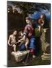 The Holy Family with an Oak Tree, 1518-1520-Raphael-Mounted Giclee Print