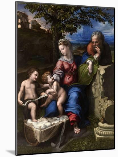 The Holy Family with an Oak Tree, 1518-1520-Raphael-Mounted Giclee Print