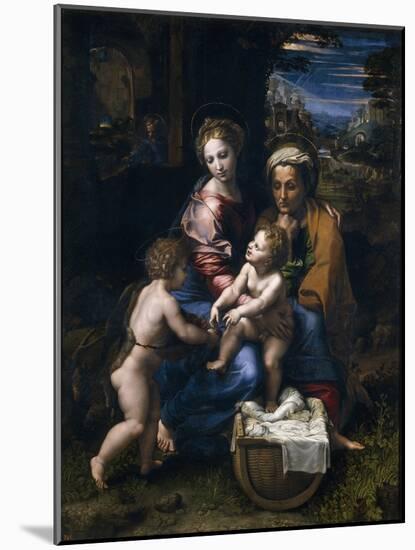 The Holy Family with John the Baptist and Saint Elizabeth (La Perl)-Raphael-Mounted Giclee Print