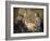 The Holy Family-Giovanni Battista Pittoni-Framed Giclee Print