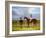 The Hon. E. Petre's Rowton with W. Scott Up, and His Trainer at Doncaster-John Frederick Herring I-Framed Giclee Print