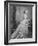 The Hon. Katie Dillon, 1860s-null-Framed Photographic Print